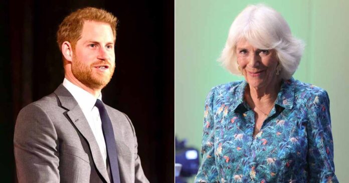 Prince Harry calls Camilla a ‘dangerous